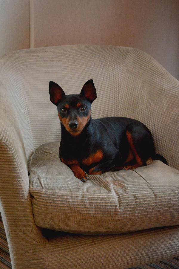 France D'antin Opera 4*